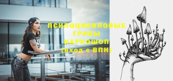 мет Абаза