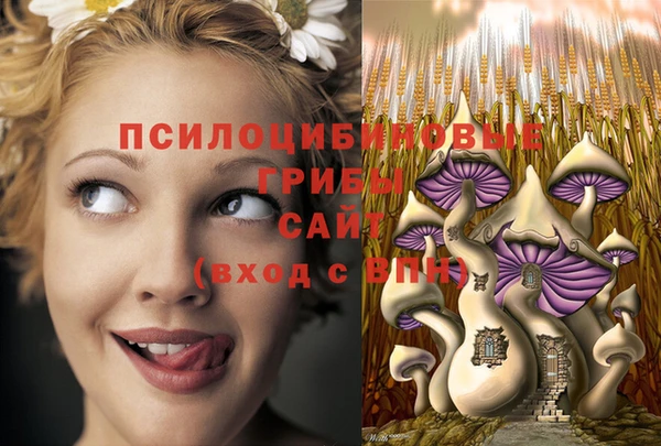 мет Абаза