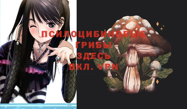 дмт Инта