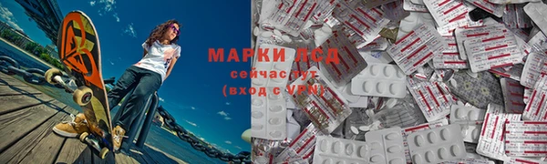 хмурый Осинники