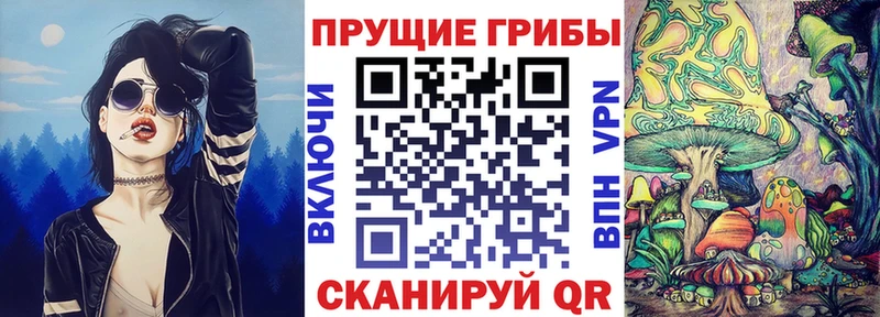 Псилоцибиновые грибы Cubensis  даркнет формула  Яранск 